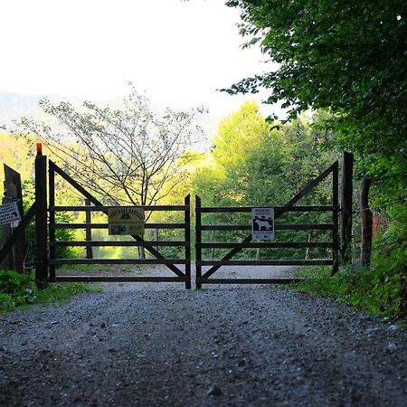 Eko Pony Ranch Ogrizek Leilighet Podčetrtek Eksteriør bilde