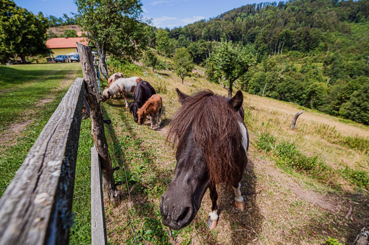 Eko Pony Ranch Ogrizek Leilighet Podčetrtek Eksteriør bilde