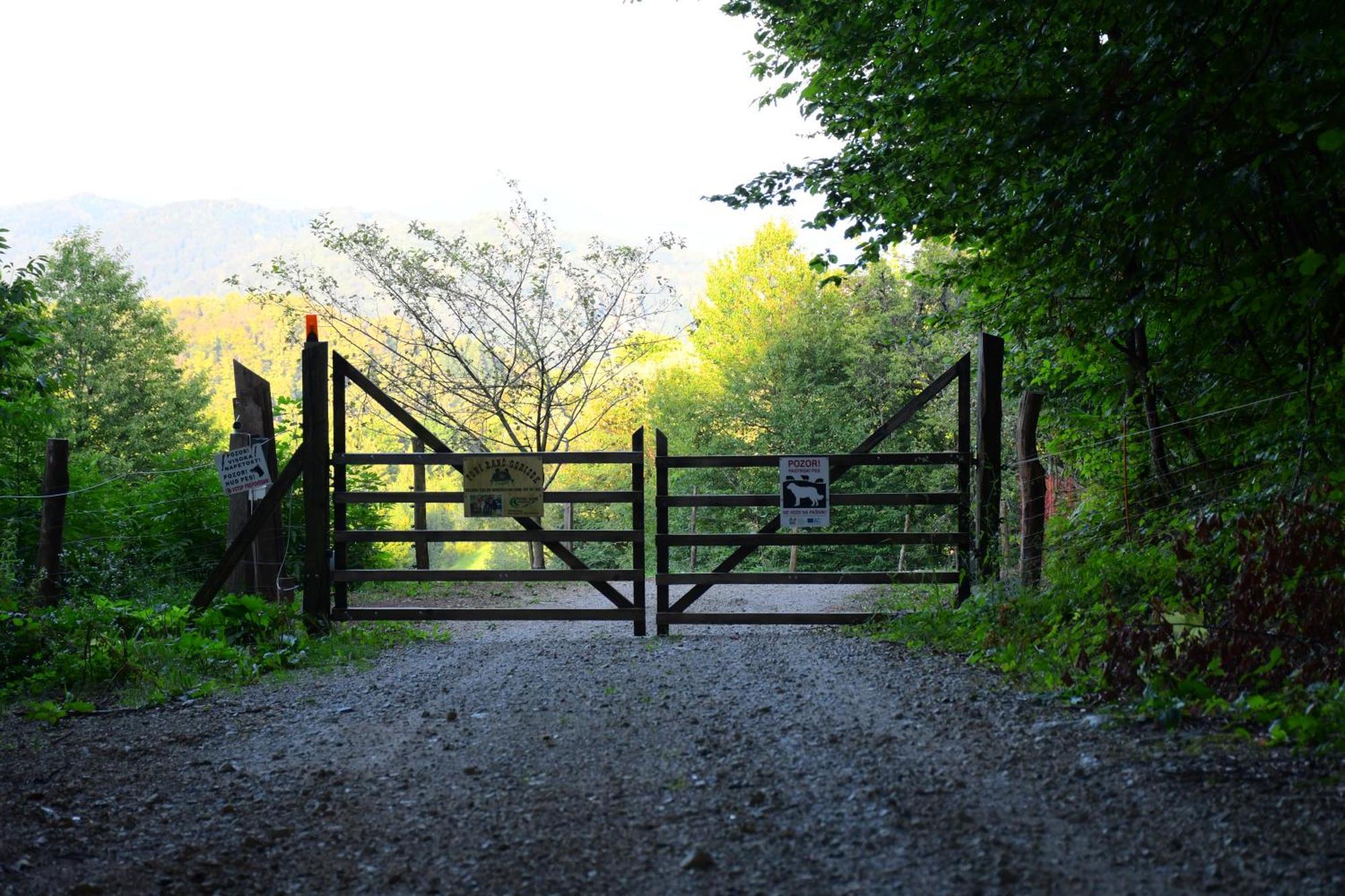 Eko Pony Ranch Ogrizek Leilighet Podčetrtek Eksteriør bilde