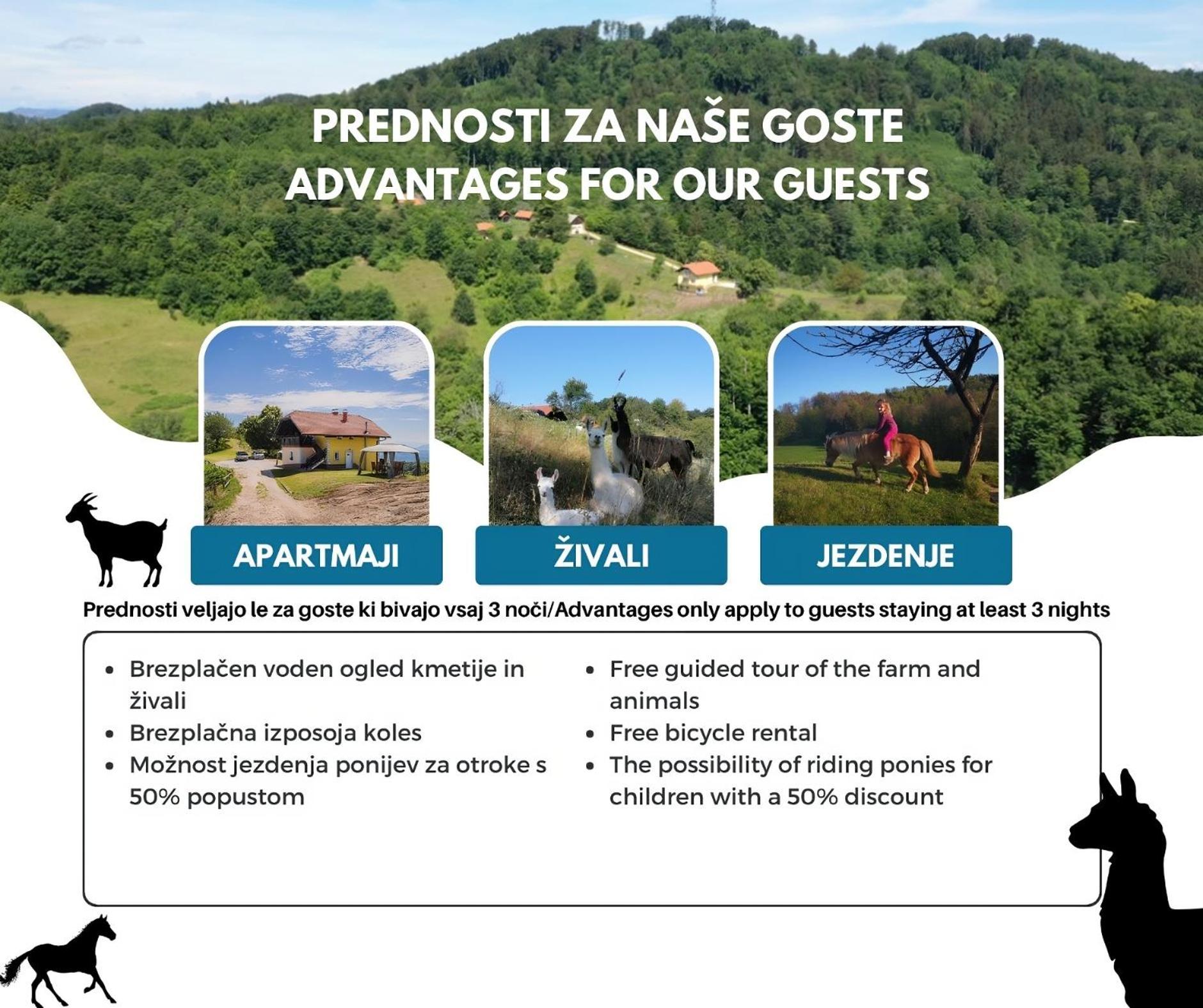 Eko Pony Ranch Ogrizek Leilighet Podčetrtek Eksteriør bilde